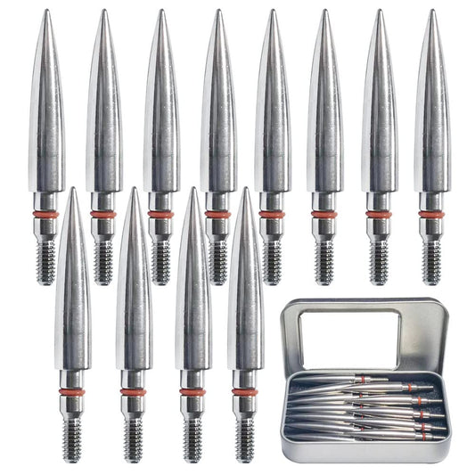 Field Points arrowheads 175 Grains Archery Field Points, 5/16" Stainless Steel Screw in Archery Field Tips and Broadheads (1 Dozen 12 PCS)