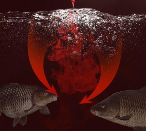 Wintgrea Fish Attractant Red Worm Liquid Fish Trap Bait, Fish Trap Liquid Bait，2 x 100ml, Ideal for Bass, Trout and Catfish, Ideal for Adding to Bait