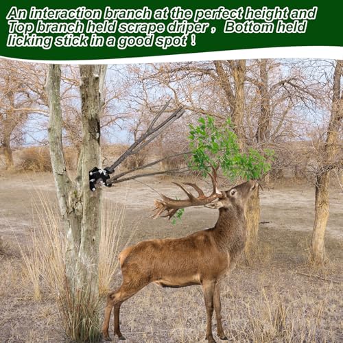 2 Pack Metal Deer Hunting Tree Branch Holders Adjustable Mounting Bracket with Stainless Hardware