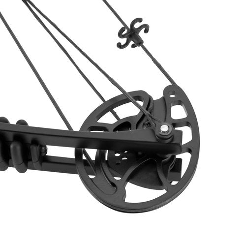 Portable Bow Hunting Kit, 30-55lbs Compound Bow+Arrows Kit Archery Set Adjustable Archery Set Come with All The Accessories (Style 2)