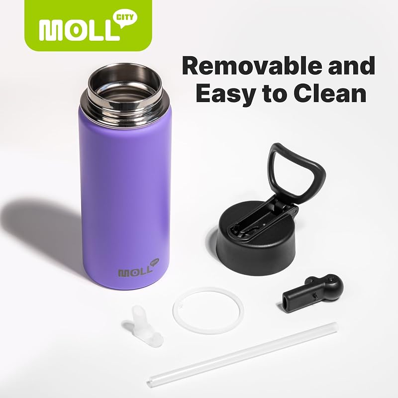 Water Bottle with Straw - 12 Oz Black, BPA Free, 18/8 Stainless Steel, Mollcity