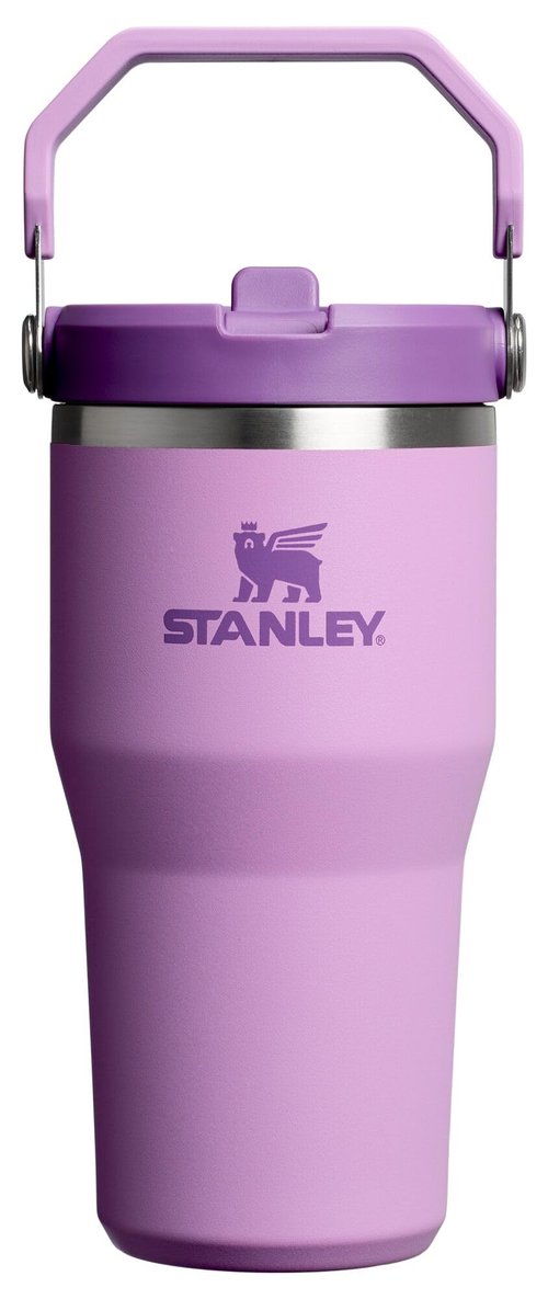 Stanley IceFlow 2.0 Flip Straw Tumbler with Handle 20 oz | Twist On Lid and Flip Up Straw | Leak Resistant Water Bottle | Insulated Stainless Steel | BPA-Free | Lilac