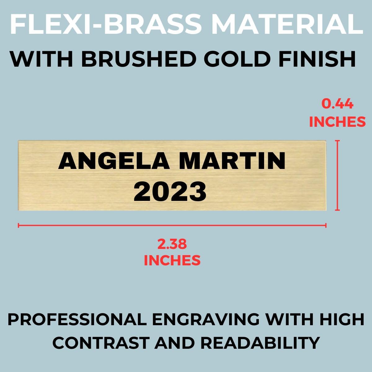 Alpha Awards Laser Engraved Name Plate for Large Goat Trophy-Traveling Perpetual Award-Custom Text- Personalized Engraving (4 Extra Name Plates)
