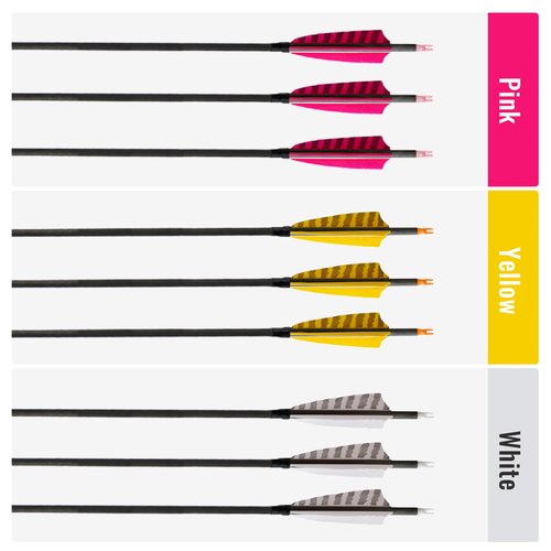 ARCTIRA 31 inch Archery Targeting Feathers Arrows for Recurve Bow Carbon Arrows with Removable Arrowhead for Adult Beginner Target Practice Outdoor Training 6 PCS (White Feathers)