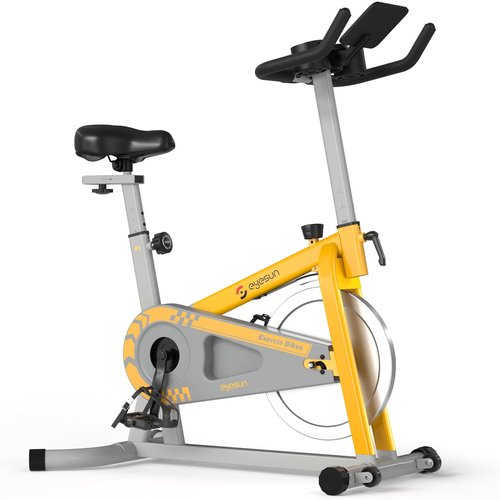 Exercise Bikes for Home,Indoor Cycling Bike with Adjustable Magnetic,Brake Pad Resistance Silent Belt Drive,330lbs Weight Capacity &Upgraded Version Seat for Home Cardio&Weight Loss(Classical Exercise Bikes Plus)