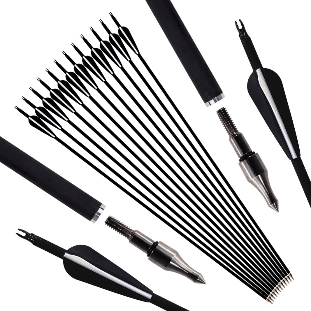 Luoyer 12Pcs Archery Hunting Arrows for Compound Bow Recurve Bow with Removable Tips Adjustable Nocks for Adults Hunting Targeting 30inch (Black Vanes)