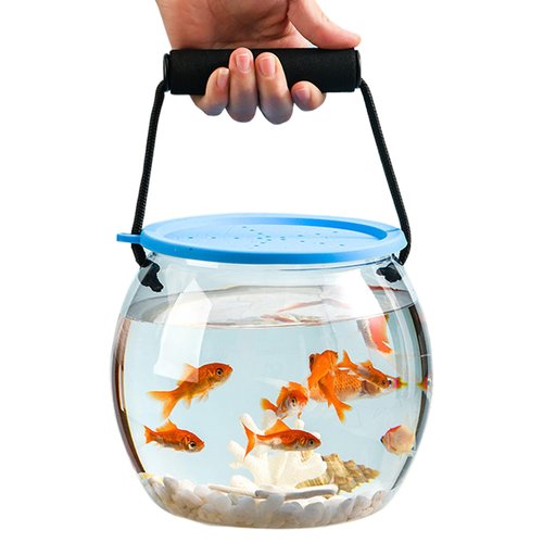Catch and Release Plastiic Beach Aquarium Kit - Fish Travel Container | Fish Transport Container | Transparent Bait Buckets for Fishing | Leak-Proof Storage Box for Beach Seine Netting Live Bait