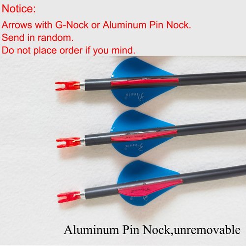 QunYing Archery Carbon Arrow 28 29 30 inch 300 340 350 400 Spine Practice Hunting Arrows for Compound Recurve Bow 12PCS-29 340 Spine