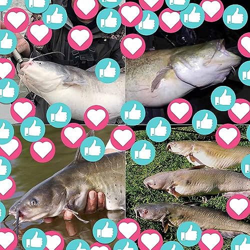 Green 4 Pack Catfish Rig with Rattler Floats for Bank Fishing - 3 Inch