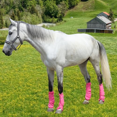 Horse Fly Boots Mesh Fly Boots for Horses Set of 4 - Hot Pink / 03 Full