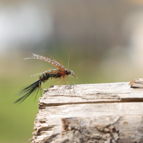 EXAURAFFLIS Fly Fishing Flies Assortment with Waterproof Fly Box 120pcs Dry Wet Nymph Streamer Flies, Lures for Trout Bass Panfish Salmon Fishing