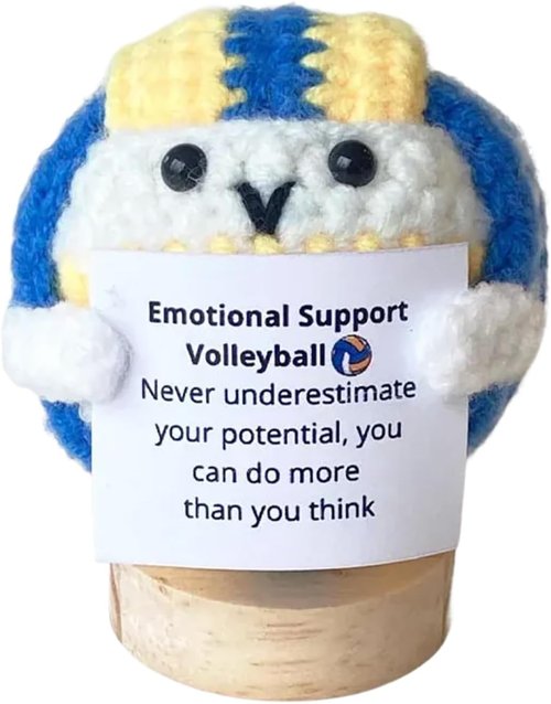 Funny Positive Volleybal, 2025 New Funny Handmade Emotional Support Sports Balls Gift, Cute Plush Appreciation Present for Men Woman Friends Basketball Lovers Birthday (Volleyball)