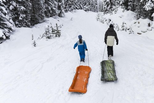 Pelican Sled Mega Snow Glider - Combo - Combo 2 sleds - 4 Season Sled - Any Outdoors Activities - Carry Up to 92 lb -Venom & Orange