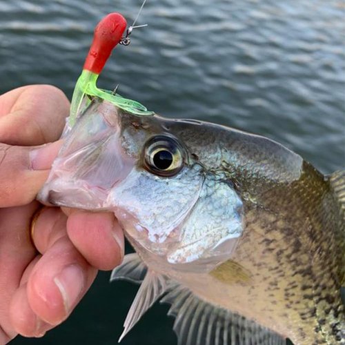Tube Jig Heads for Crappie, Panfish, and Bass Fishing - 24 Pack (1/16 oz)