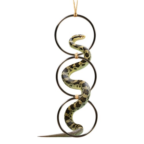 Swirge Snake Climbing Rings, Snakes Enrichment Toys, Ball Python Tank Accessories, Swing Climbing Hoop Chain for Ball Python Corn Snake