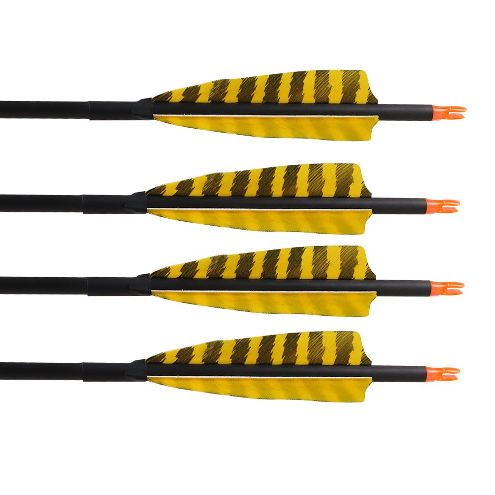 32 Inch Carbon Archery Arrows，Spine 400 with Removable Tips, 4inch Turkey Feather, Hunting and Target Practice Arrows for Compound Bow and Recurve Bow, 6 Pack (Yellow and Black)