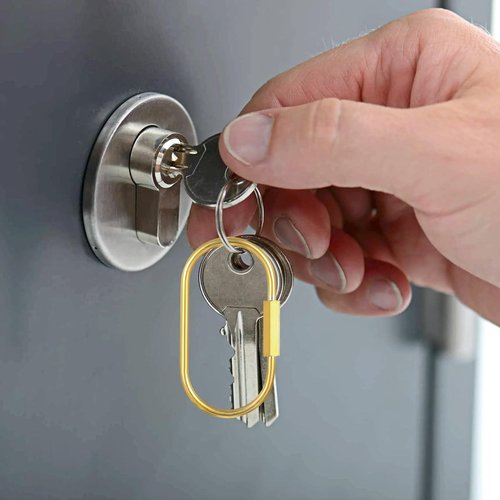 4 Pcs Gold Brass Key Rings Brass Screw Lock Keychains Carabiner Keychain Clip Simple Style Car Keychain Purse Bag Charms for Door Cabinet Cars Keys Bags Men Women 2.36 × 1.26 Inches