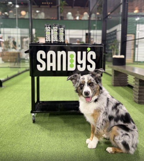 Sandy’s Padel Balls – Tournament Pro Series – 24 Cans (72 Balls) – High Performance, Durable, Sand Court Optimized