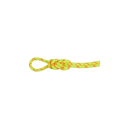 Mammut 9.5 Alpine Core Protect Dry Rope 50 m