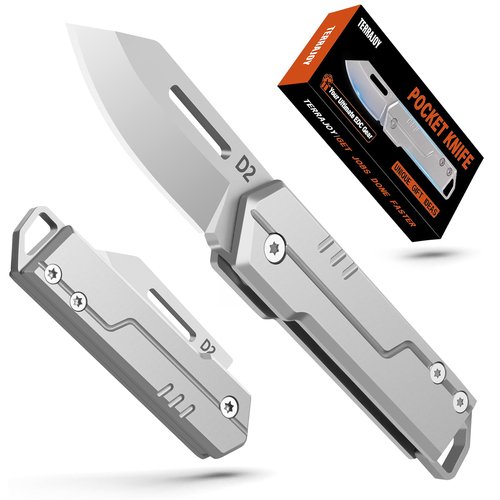 TerraJoy Small Pocket Knife Gifts for Men Him Dad Husband, Keychain Folding Knife for Everyday Carry, Lightweight Edc Gadgets for Camping, Hiking Fishing and Outdoor (Grey)
