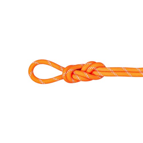 Mammut Alpine Dry Rope - 9.5mm, Vibrant Orange/Zen, 70m