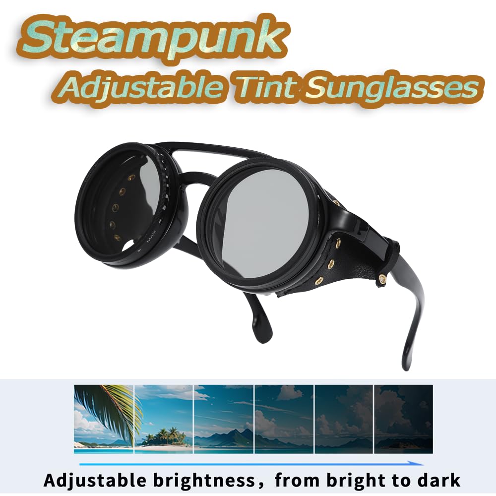 Adjustable Tint Sunglasses, 9-Level Manual Dimming, Polarized UV Protection, Detachable Leather Side Shields, Round Steampunk Style, Ideal for Hiking, Mountaineering, Glacier Travel, and Fishing