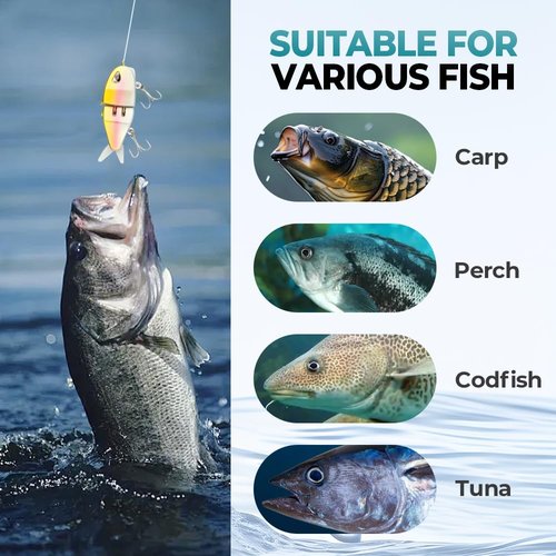 Mini Glide Bait for Bass Fishing, Slow Sinking Wide S Motion Smooth Glide Baits for Freshwater and Saltwater, Amazing Fishing Gear Gifts for Family (Style 1)