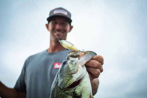 Heddon Spin'N Image - Black Shiner - 3.5"