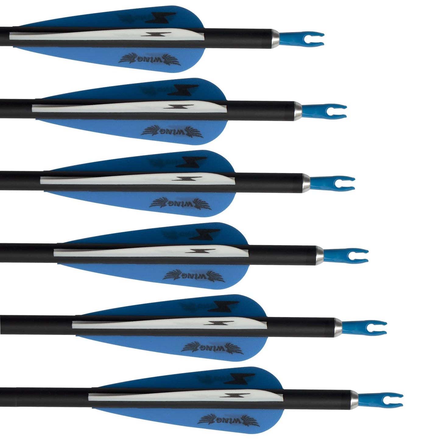 31inch Carbon Arrow Archery Targeting Practice Hunting Arrows for Compound & Recurve Bow with Removable Tips(Pack of 12) (Blue White)