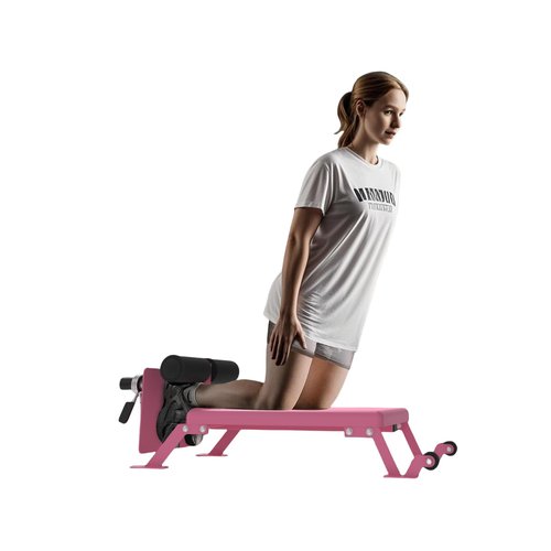 Nordic Curl Bench Machine, Hamstring Curl Bench with Wheels for Home Gym,Pink