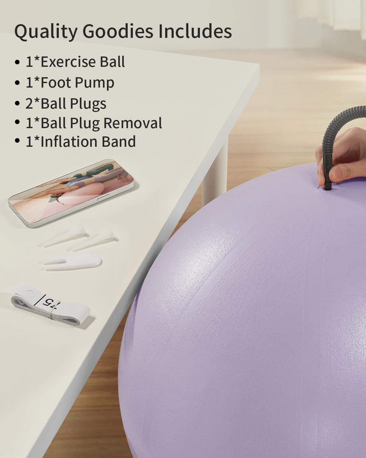 YOTTOY Anti-Burst Exercise Ball for Working Out, Yoga Ball for Pregnancy,Extra Thick Workout for Physical Therapy,Stability Ball for Chair Fitness with Pump (Purple)