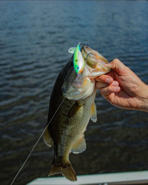 Heddon Spin'N Image - Black Shiner - 3.5"
