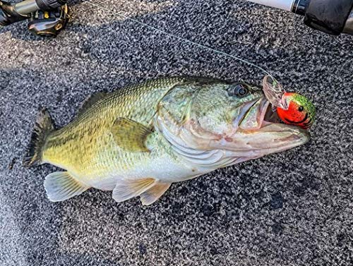 Bandit Lures Crappie 2 Inch 1/4 Oz Fishing Lure - Versatile Crankbait for Bass and More