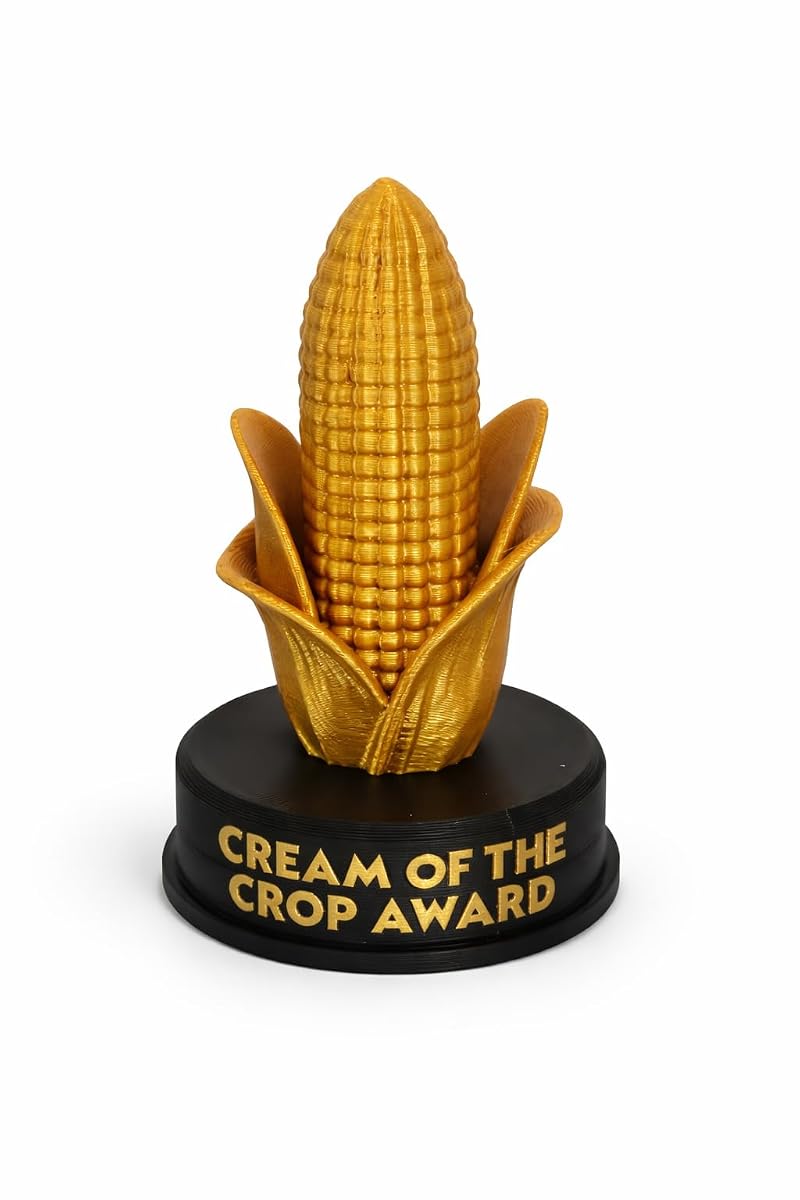 Combo Pack 6A: 4 Inch Funny Novelty Trophy – You Did It Meme Award, Gold Plastic