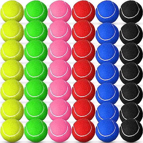 Colored Tennis Balls for Practice and Pet Play – 48 Pack