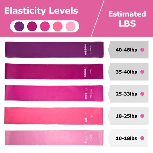 KABCON Pilates Ring Essentials Set for Women with 9.8” Exercise Ball,Elastic Bands, Yoga Socks, Carrying Bag, 13-Pcs Home Workout Set
