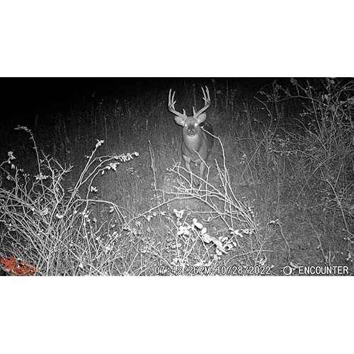 Wildgame Innovations Scrapeline 18MP Trail Camera with Batteries and SD Card