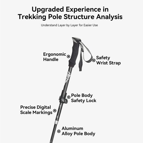 PARDUS Lightweight Adjustable Trekking Poles (1 Pole) - Hiking, Trekking, and Travel for Men, Women, Hikers, Backpackers, and Seniors