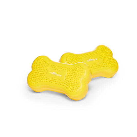 FitPaws® Mini K9FITbone® Dog Balance and Exercise Equipment, Mango, 2-Pack