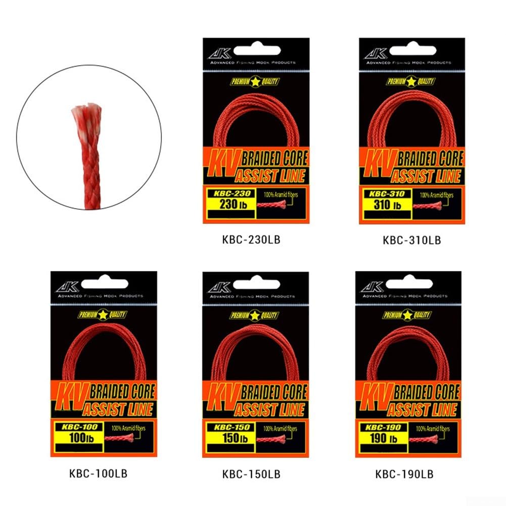 100~310LB For Braided 8 Strands Fishing Assist Line PE Hollow Core Hook Binding Rope for Heavy Duty Fishing (310LB)