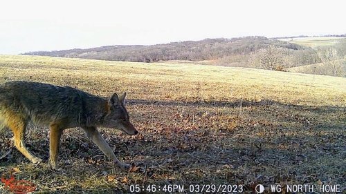 WGI Innovations Terra Xtreme 16Mp