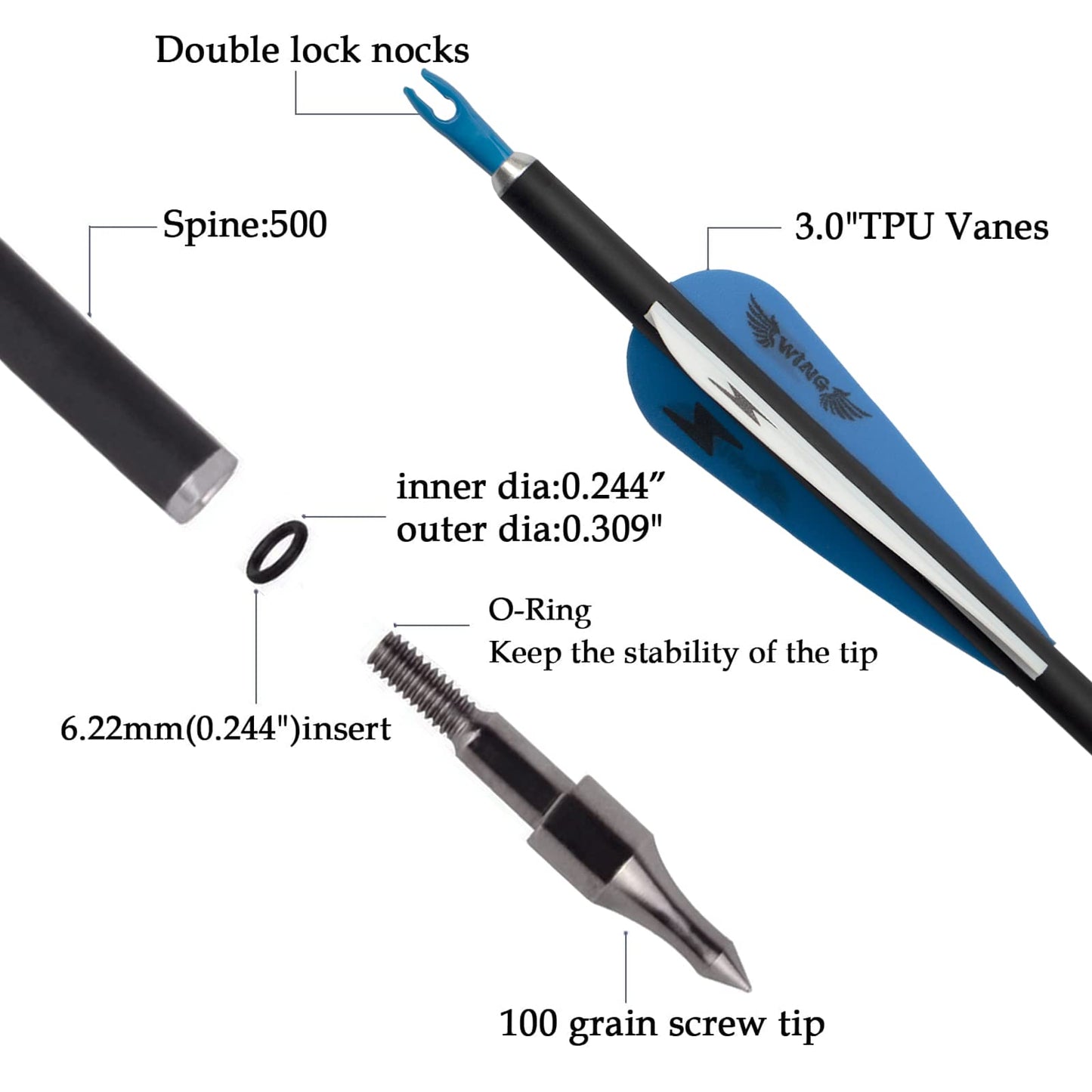 31inch Carbon Arrow Archery Targeting Practice Hunting Arrows for Compound & Recurve Bow with Removable Tips(Pack of 12) (Blue White)