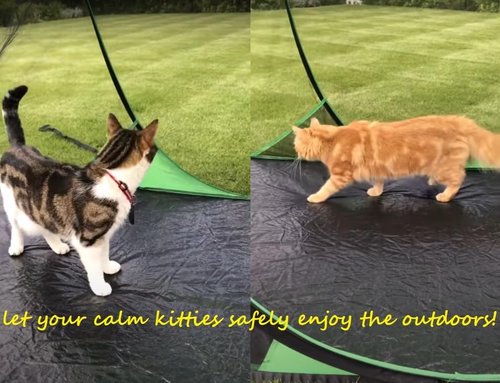 SANSBUG Instant Pop up Screen Tent for Camping, Noseeum Netting has Finer Mesh Than a Mosquito Net (Tarp Floor)