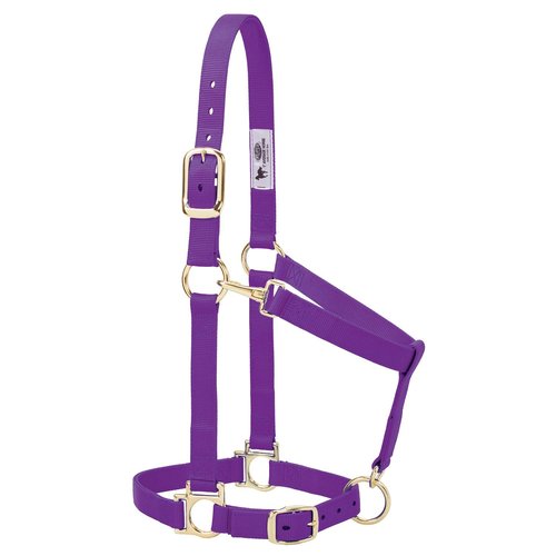 Weaver Leather Basic Adjustable Nylon Halter, Purple, 1" Average Horse