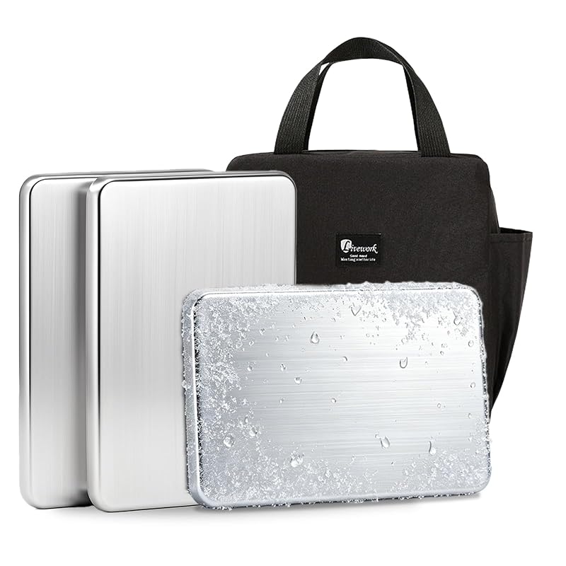 3-Pack Stainless Steel Ice Packs with Insulated Carry Bag – 48H Cooling for Lunches, Coolers, Camping