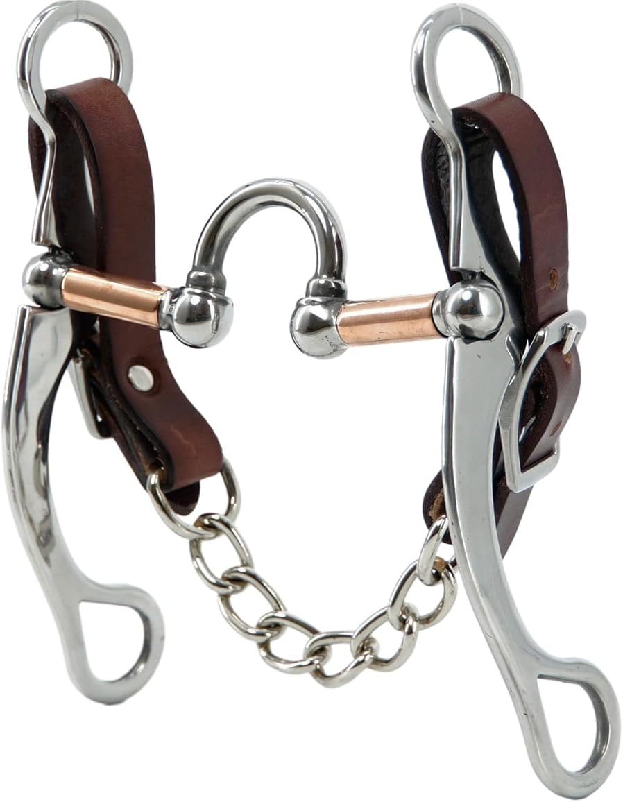 Jeereal Stainless Steel Western Horse Correction Bit with Leather Single Flat Link Chain Curb Strap, 5" Mouth | 7.7" Cheek | 0.5" Mouth Thickness