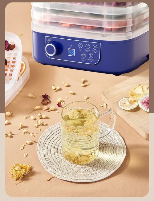Freeze Dryer Machine for Home with 5 Trays, Freeze Dryer Digital Adjustable Timer & Temperature Control for Fruits, Meat, Vegetables, Candy & Snacks (Blue（five layers）)