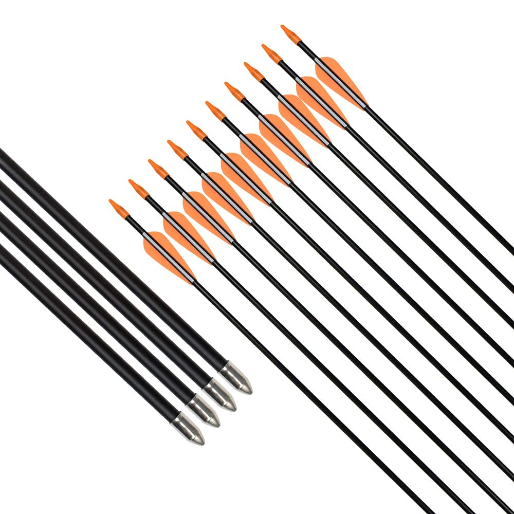 Fiberglass Practice Arrows Archery 30 Inch Target Shooting Safetyglass Recurve Bows Suitable for Youth Woman Beginner 6PCS