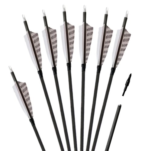 ARCTIRA 31 inch Archery Targeting Feathers Arrows for Recurve Bow Carbon Arrows with Removable Arrowhead for Adult Beginner Target Practice Outdoor Training 6 PCS (White Feathers)