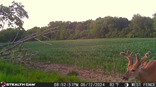 Stealth Cam Revolver 36MP Photo 1080P HD Video at 30 FPS 0.4 Sec Trigger Speed 360-Degree Panoramic View Built-in GPS Hunting Cellular Trail Camera, Verizon and AT&T